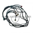 Engine wire harness (ACE0115-48)